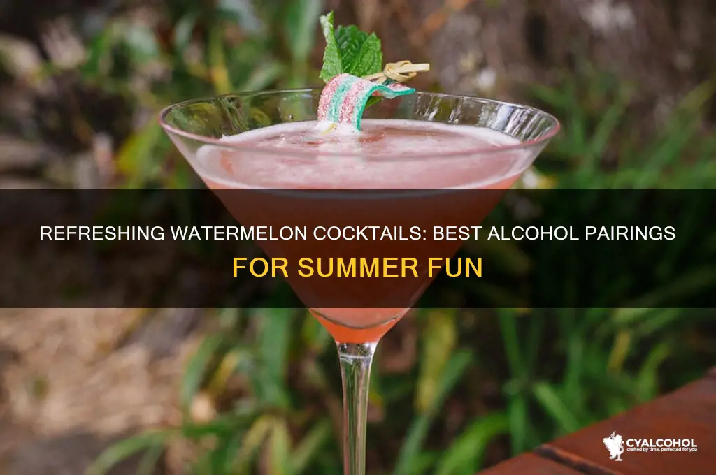 what alcohol goes in a watermelon