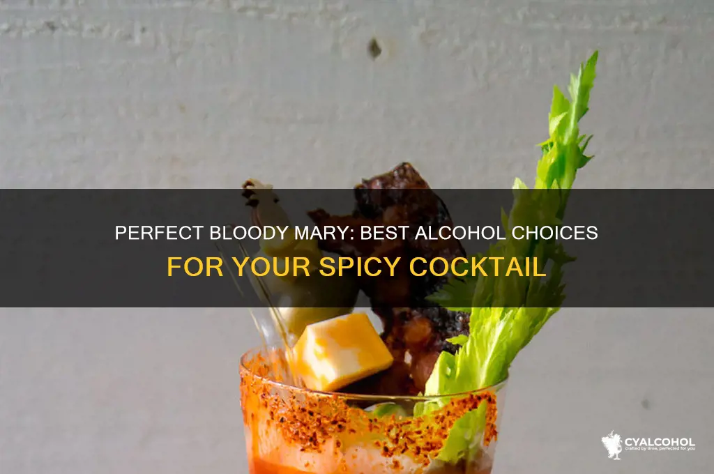 what alcohol goes in bloody mary