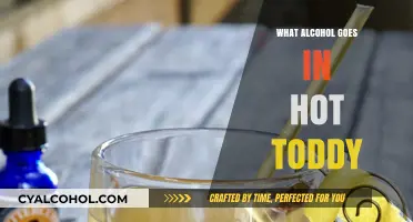 Perfect Hot Toddy: Best Alcohol Choices for Warmth and Flavor
