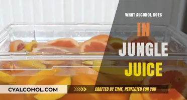 Jungle Juice Recipe: Best Alcohol Mix for Your Party Punch