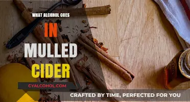 Perfect Pairings: Best Alcohol to Enhance Your Mulled Cider Recipe
