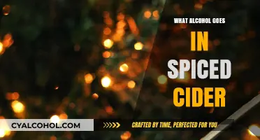 Perfect Pairings: Best Alcohol to Spice Up Your Cider Experience