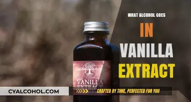 Perfect Pairing: Which Alcohol Enhances Homemade Vanilla Extract Best?