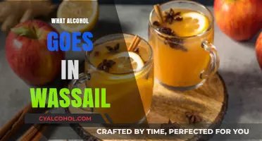 Perfect Wassail Pairings: Best Alcohol Choices for Your Holiday Brew