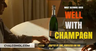 Perfect Pairings: Best Alcohol Companions to Elevate Your Champagne Experience