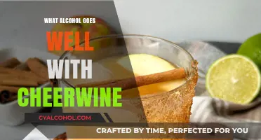 Cheerwine Cocktail Pairings: Best Alcohol Matches for a Unique Southern Twist
