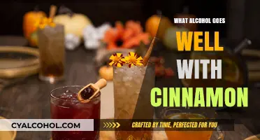 Spicy Sips: Best Alcohol Pairings to Complement Cinnamon's Warmth