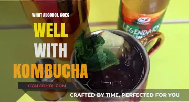 Perfect Pairings: Best Alcohol to Mix with Kombucha for a Buzz