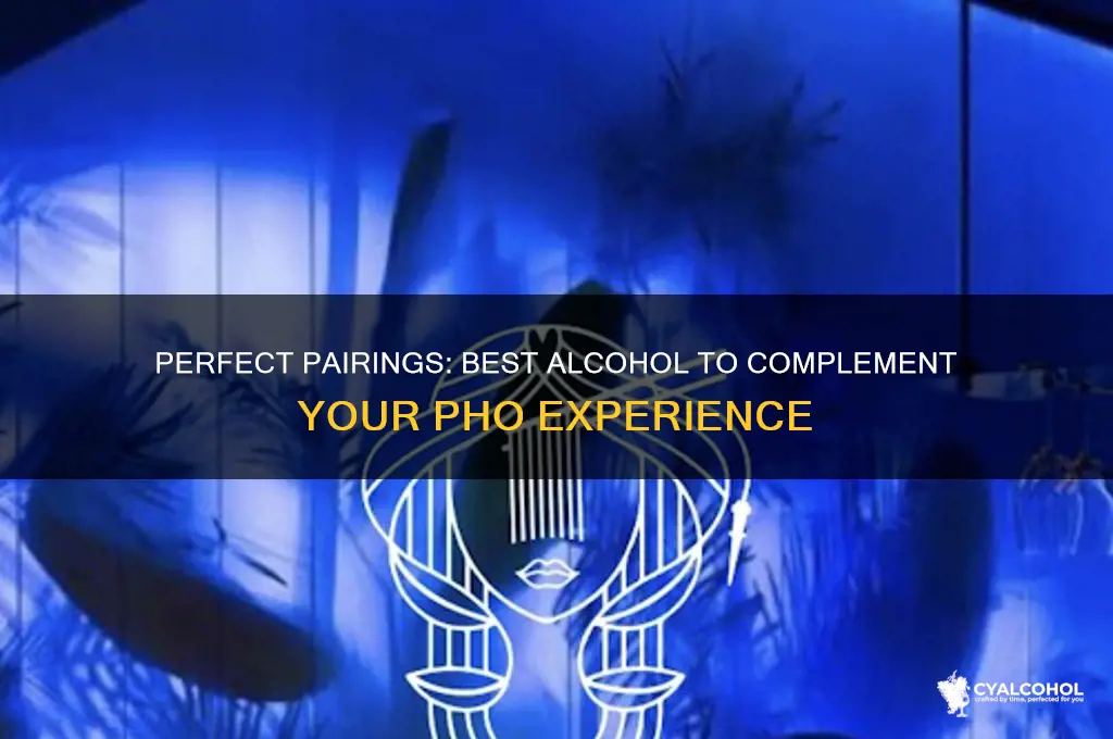 what alcohol goes well with pho