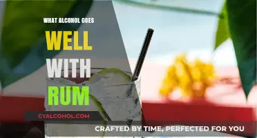 Perfect Pairings: Best Alcohol Companions to Enhance Your Rum Experience