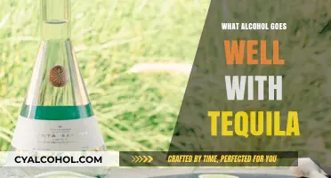 Perfect Pairings: Best Alcohol Mixers to Complement Your Tequila Experience