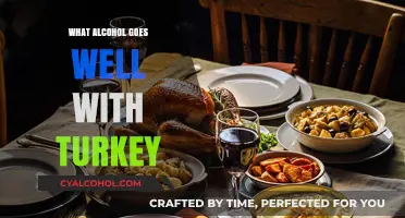 Perfect Pairings: Best Alcohol to Complement Your Turkey Feast