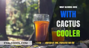 Perfect Pairings: Best Alcohol to Complement Cactus Cooler's Unique Flavor
