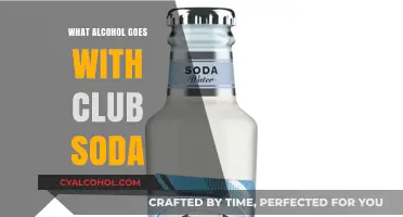Perfect Pairings: Best Alcohol Mixers to Elevate Your Club Soda Experience