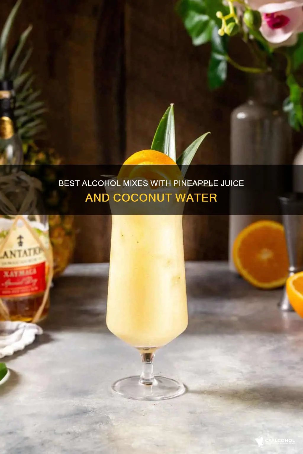 what alcohol goes with pineapple juice and coconut water