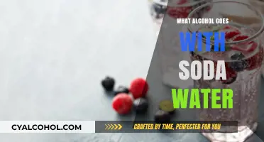 Perfect Pairings: Best Alcohol to Mix with Soda Water for Refreshing Drinks