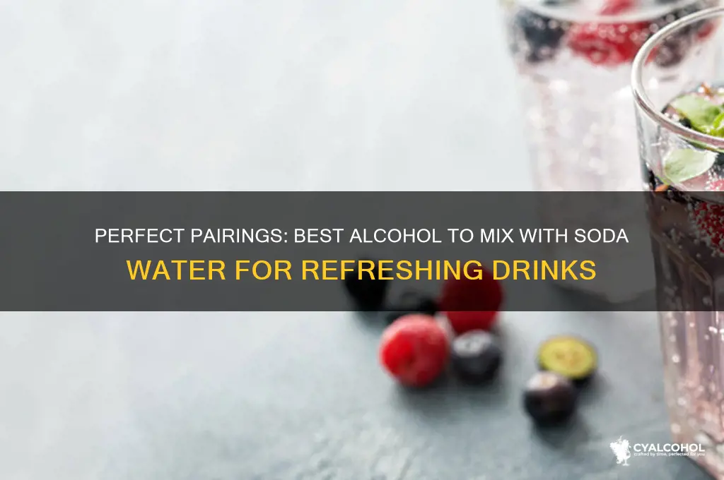what alcohol goes with soda water
