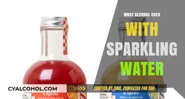 Perfect Pairings: Best Alcohol Mixers for Sparkling Water Lovers
