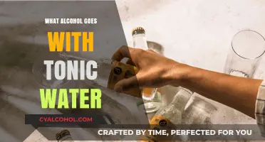 Perfect Pairings: Best Alcohol Options to Mix with Tonic Water