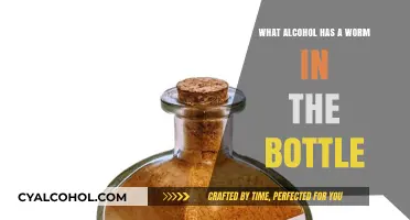 Worm in the Bottle: Exploring Mezcal's Unique Tradition and Flavor