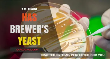 Brewer's Yeast in Alcohol: Unveiling Its Role in Beer and Beyond