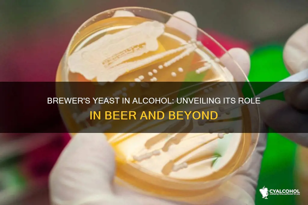 what alcohol has brewer
