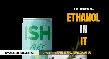 Ethanol-Based Drinks: Which Alcoholic Beverages Contain This Key Ingredient?