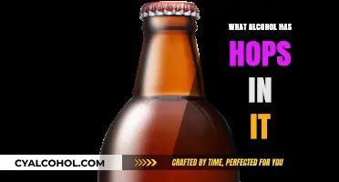Hops Beyond Beer: Exploring Alcoholic Drinks with a Hoppy Twist