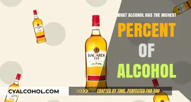 Exploring the Strongest Alcoholic Beverages: Highest Alcohol Percentage Revealed
