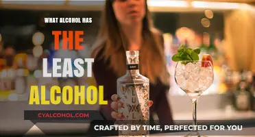 Lowest Alcohol Content: Discover the Mildest Drinks to Enjoy Responsibly