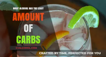 Low-Carb Alcohol Guide: Discover Drinks with Minimal Carbohydrates