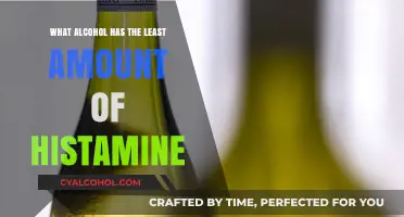 Low-Histamine Alcohol Options: Discover Drinks That Minimize Reactions