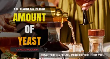 Low-Yeast Alcohol Options: Discover Drinks with Minimal Yeast Content