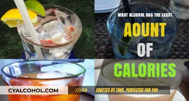 Low-Calorie Alcohol Options: Discover the Lightest Drinks for Your Diet