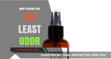 Discover the Least Smelly Alcohol Options for Discreet Enjoyment