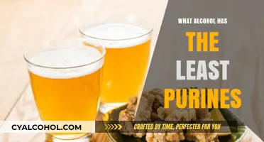 Low-Purine Alcohol Options: Best Drinks for Gout-Friendly Enjoyment