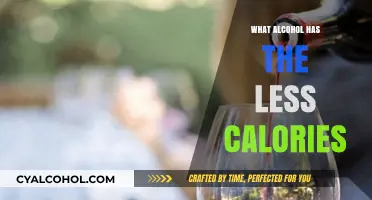 Low-Calorie Alcohol Options: Discover the Lightest Drinks for Your Diet