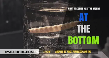 Discover the Worm: Tequila with a Surprising Bottom-Dweller