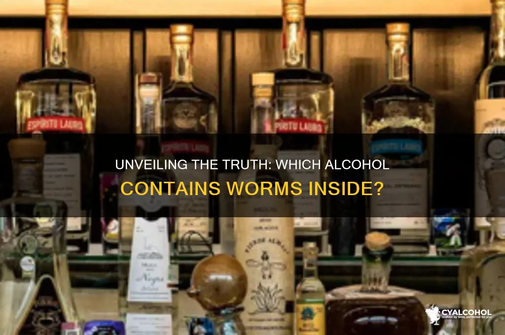 Unveiling The Truth: Which Alcohol Contains Worms Inside? | CyAlcohol