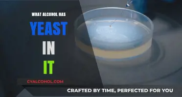 Yeast in Alcohol: Which Drinks Contain This Fermenting Ingredient?