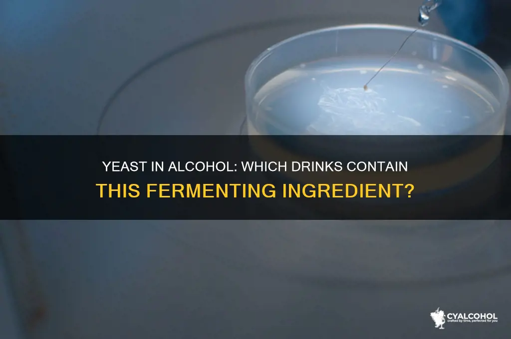 what alcohol has yeast in it