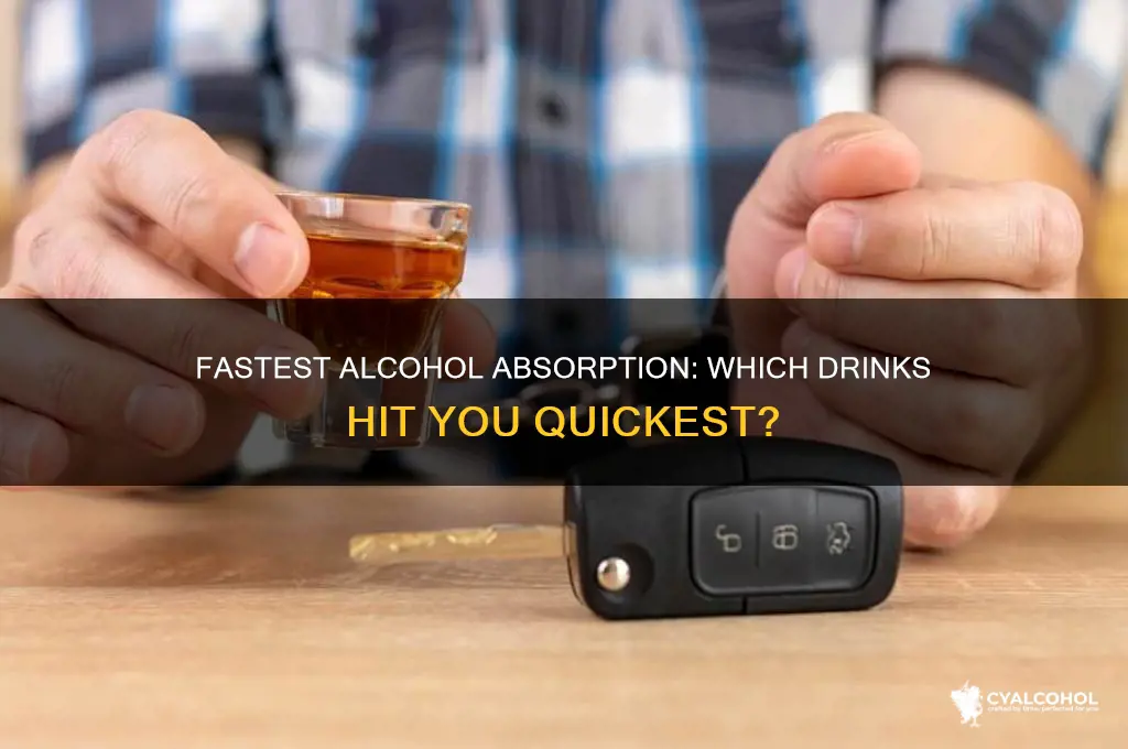 what alcohol hits you the fastest