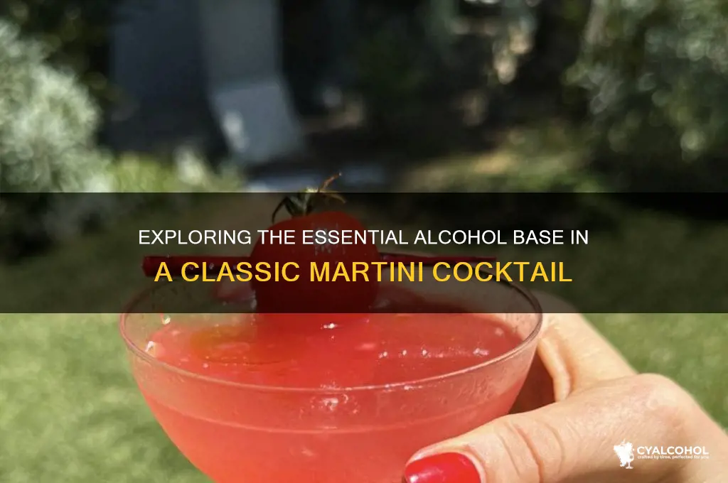 what alcohol in martini