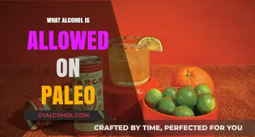 Paleo-Friendly Alcohol Guide: What to Drink and Avoid on the Diet