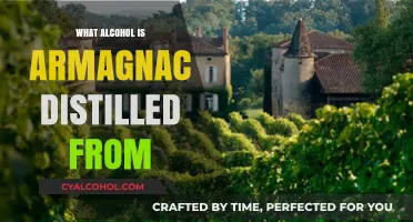 Armagnac's Origins: The Grape Spirit Behind This French Brandy