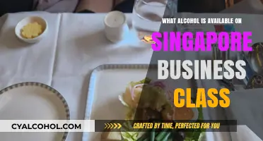 Singapore Airlines Business Class: Premium Alcohol Selection Revealed
