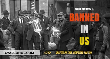 Prohibited Spirits: Exploring the Banned Alcoholic Beverages in the United States