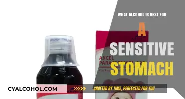 Gentle Sips: Best Alcohol Options for Sensitive Stomachs Explained