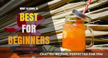 Discovering the Perfect Alcohol for New Drinkers: A Beginner's Guide