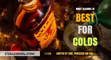 Best Alcoholic Drinks to Soothe Cold Symptoms: A Warming Guide